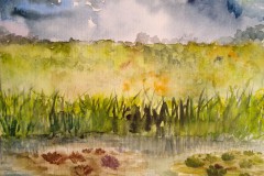 Seerosenteich. Aquarell 30×24 cm